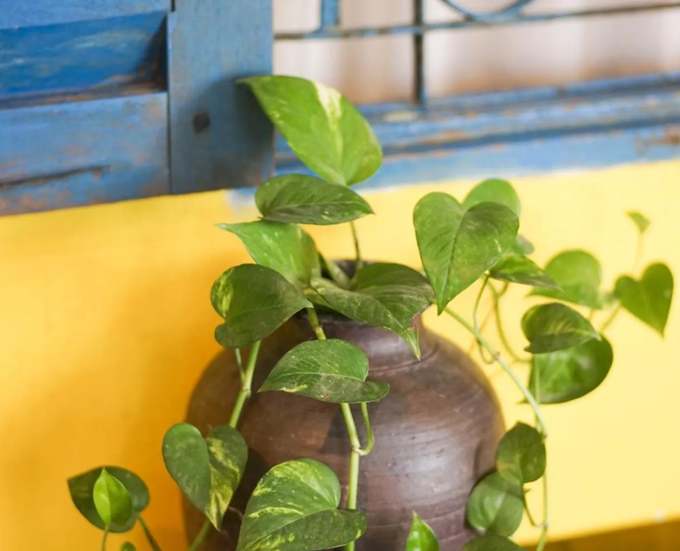 City Hostel Da Nang